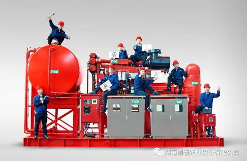 耐普泵業(yè)產(chǎn)品助力中國海洋裝備建設(shè)——中海油陸豐油田群區(qū)域開發(fā)項(xiàng)目柴油機(jī)消防泵組順利交付