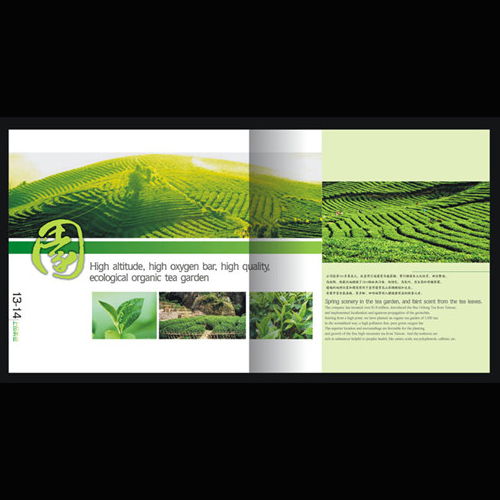 深圳產(chǎn)品圖冊(cè)與網(wǎng)站設(shè)計(jì)印刷服務(wù) 專業(yè)視覺(jué)呈現(xiàn)提升品牌價(jià)值