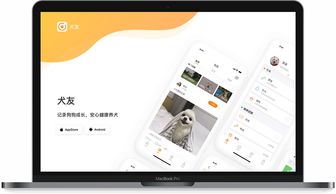 指尖上的藝術 探索網(wǎng)頁與網(wǎng)站設計作品小集