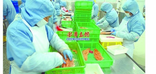 歐美需求激增，青島海產品加工企業全力以赴趕訂單