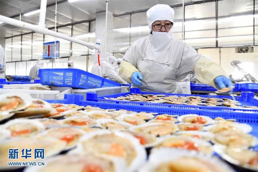 積極發展海洋食品加工產業，構建全產業鏈協同發展新格局